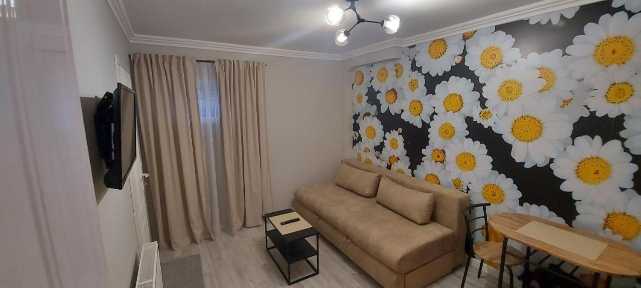 Apartman Studio Dado Lägenhet Užice Exteriör bild